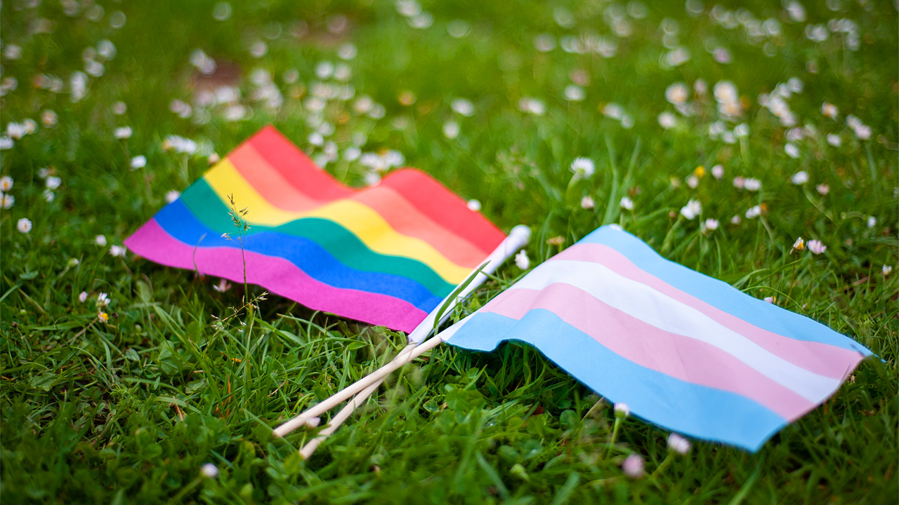 Regenbogenfahne und Transgenderfahne liegen im Gras